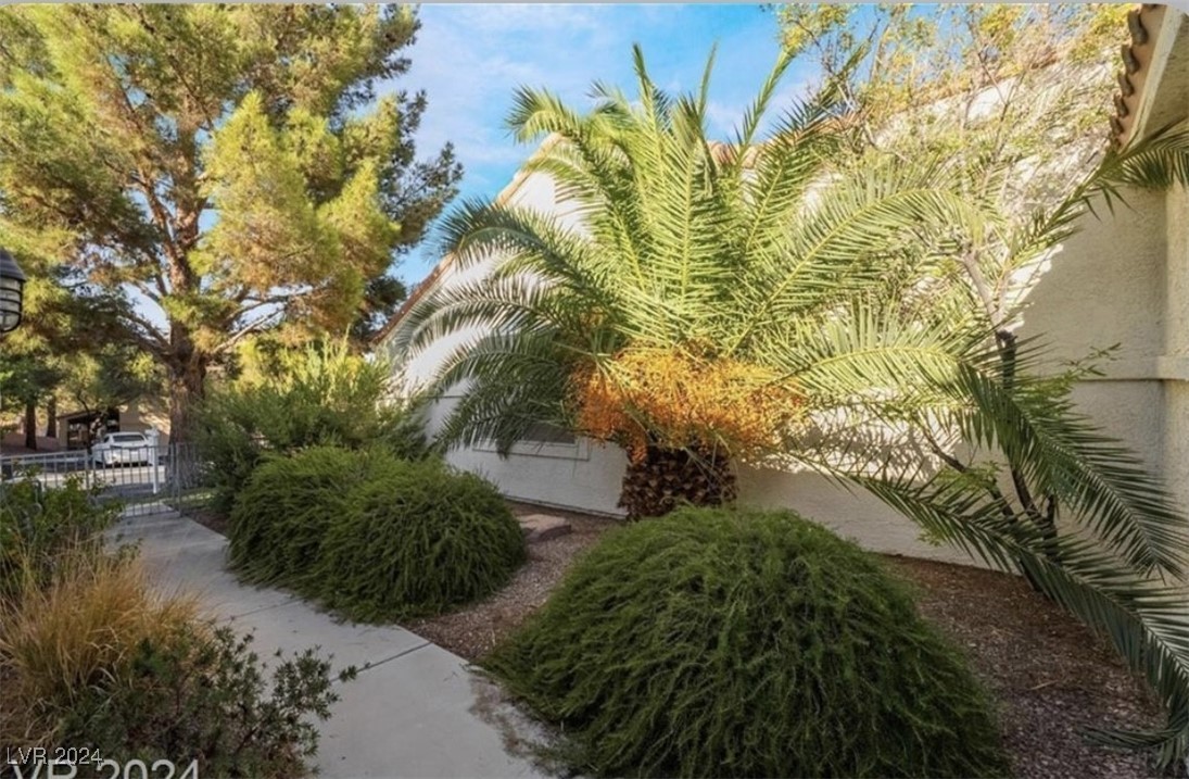 2253 Van Gogh Drive Property Photo 3