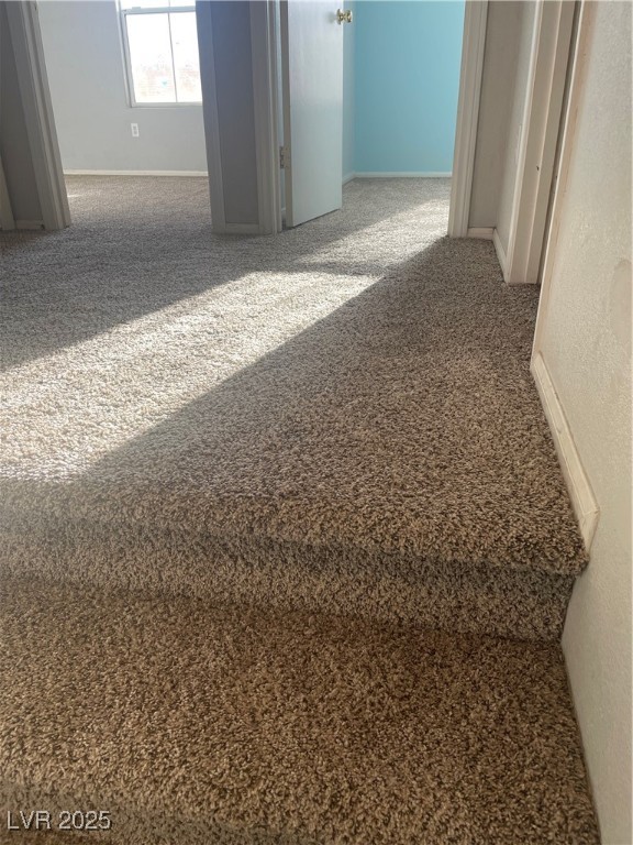 11177 Deluna Street Property Photo 21