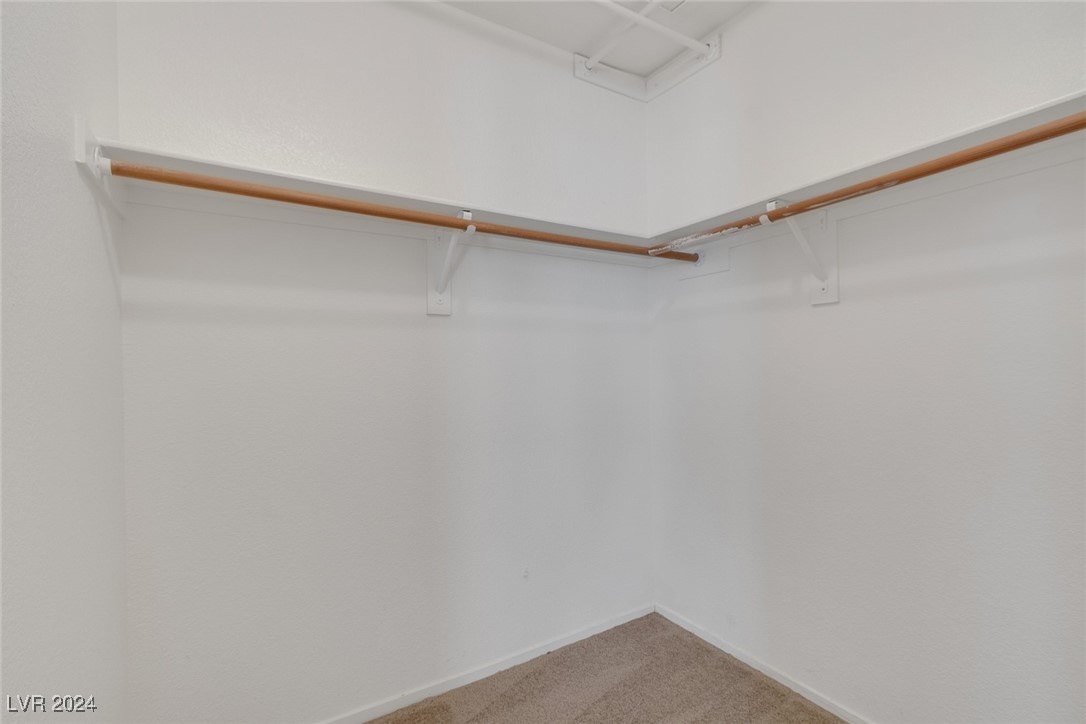9586 Collinsleap Court Property Photo 19