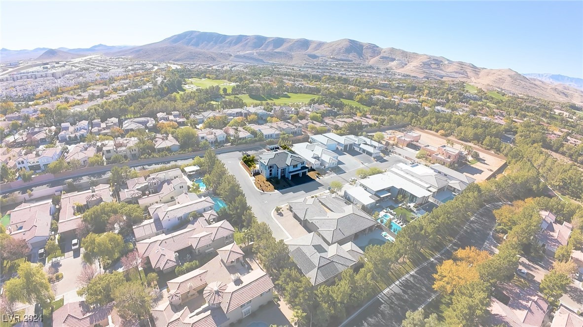 3423 Spanish Winds Court Property Photo 2