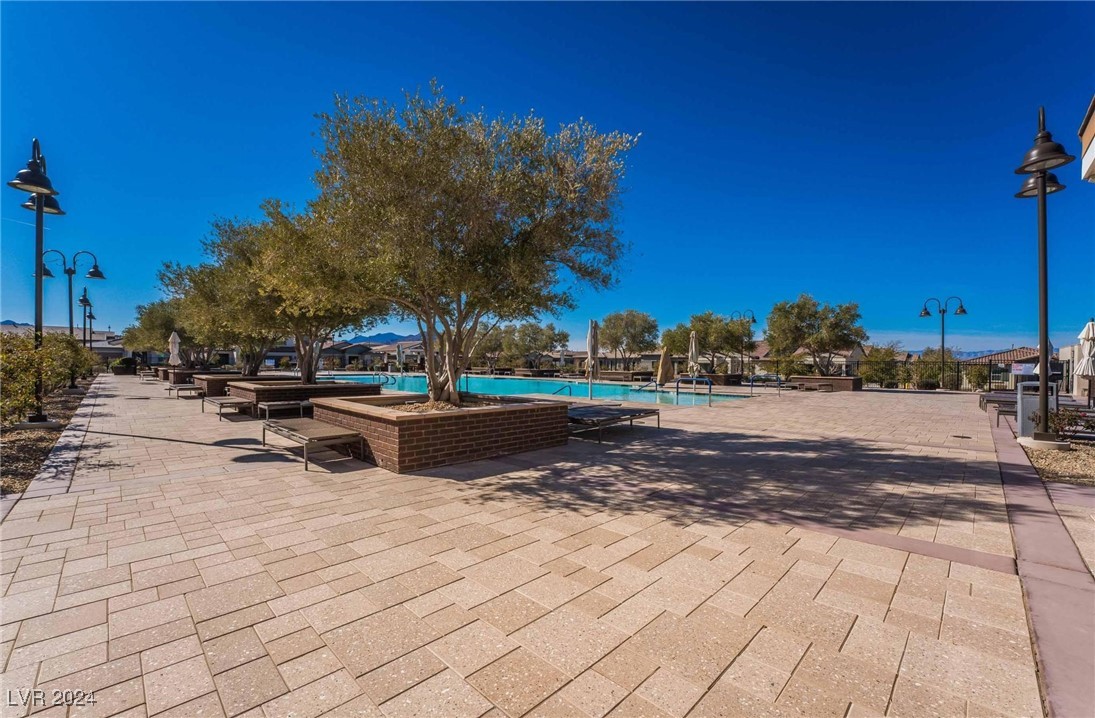 689 Corelli Cove Street Property Photo 49