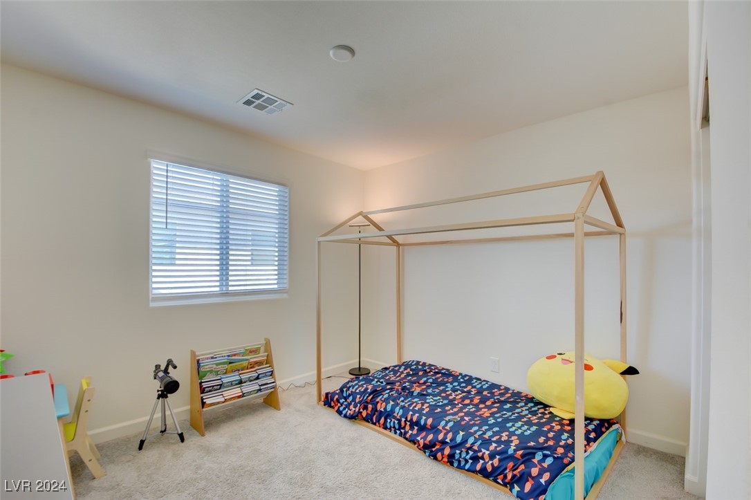 5029 Bloodhound Street Property Photo 14