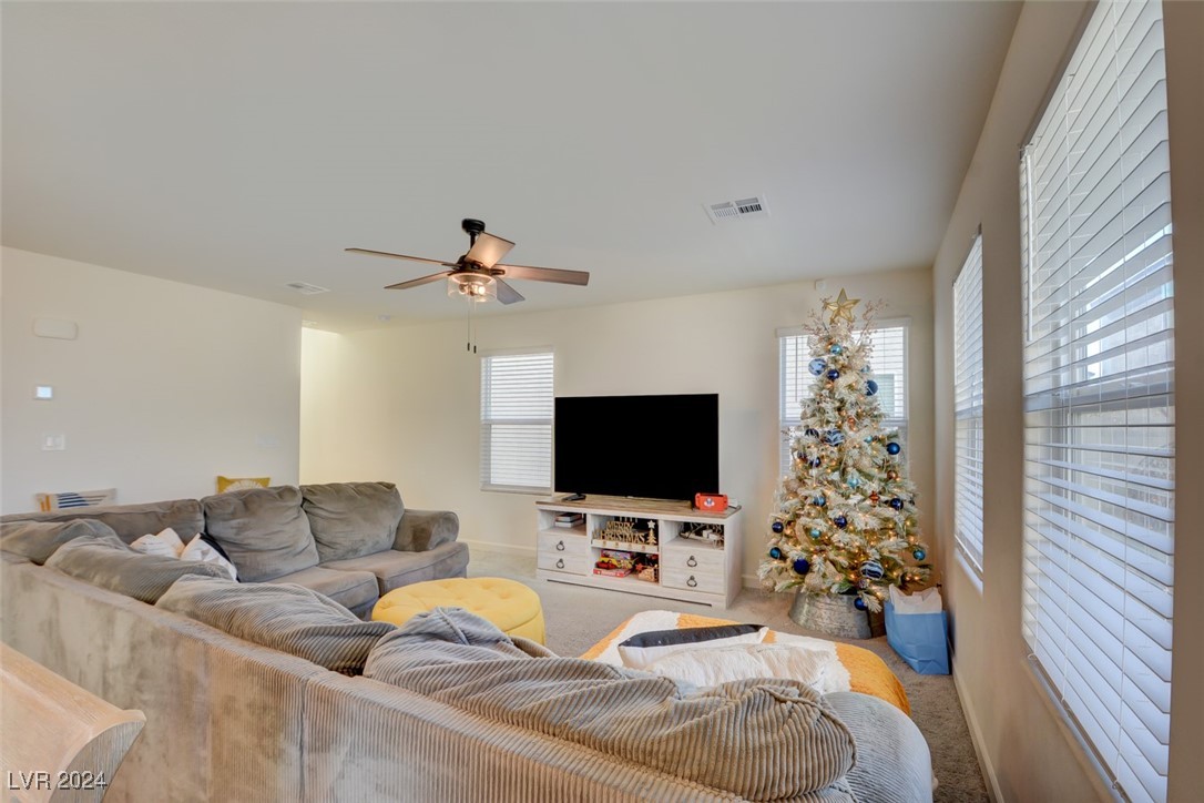 5029 Bloodhound Street Property Photo 24