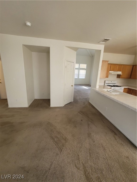 7573 Costanoa Street . Property Photo 28