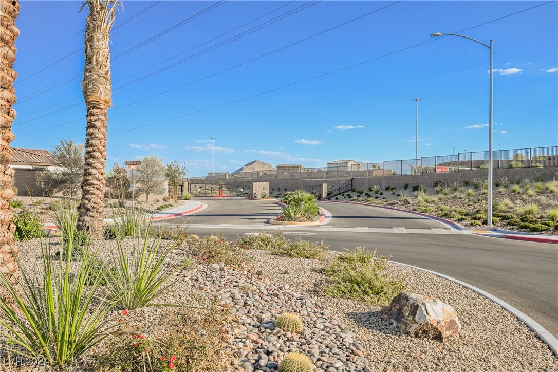 10311 Sequoia Falls Place Property Photo 67