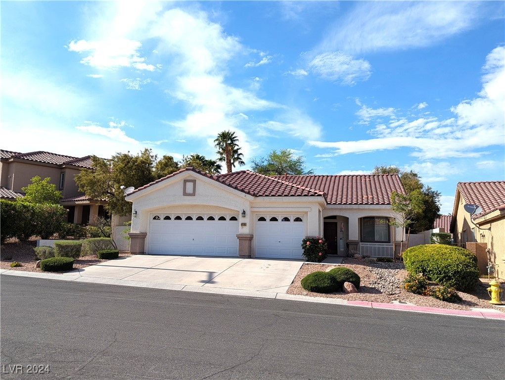 9728 Echo Hills Drive Property Photo 3