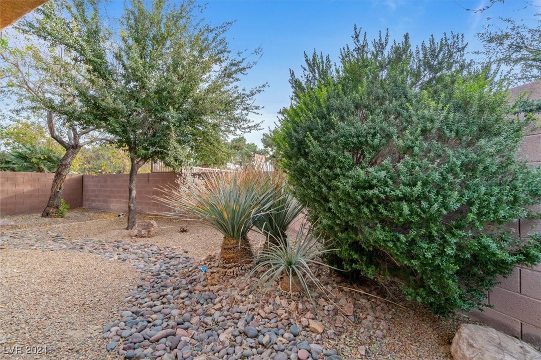 6061 Moonlight Sonata Avenue Property Photo 22