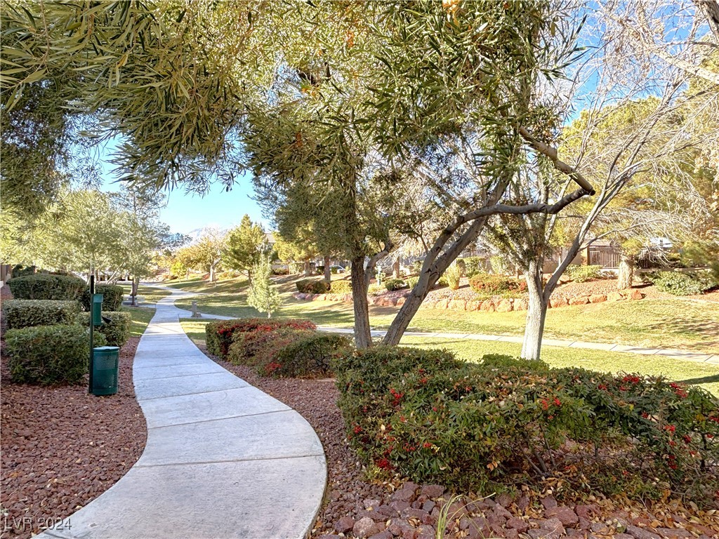 2053 Jasper Bluff Street 201 Property Photo 41