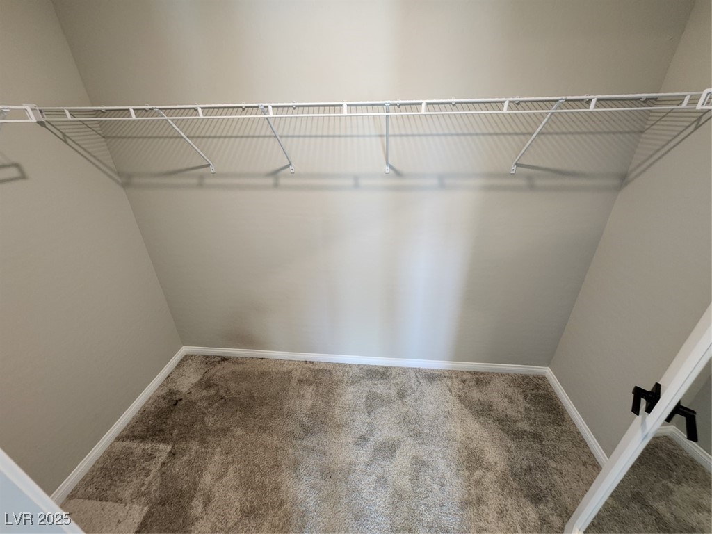 12511 Island Bells Avenue Property Photo 43