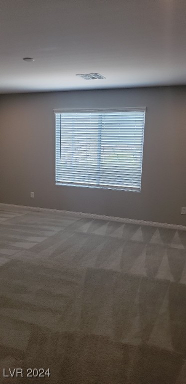 8132 Willmann Street Property Photo 22