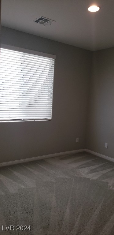 8132 Willmann Street Property Photo 33