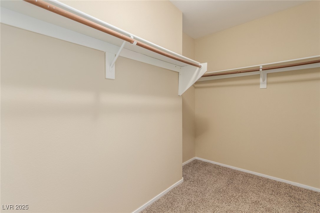 9937 Ivy Patch Street Property Photo 34