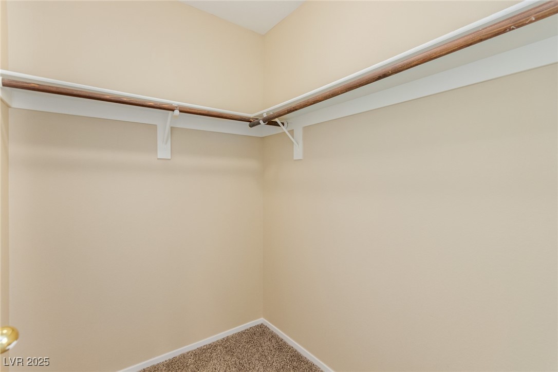 9937 Ivy Patch Street Property Photo 42