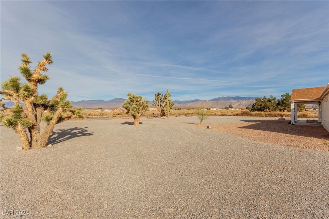 2391 Cactus Street Property Photo 13