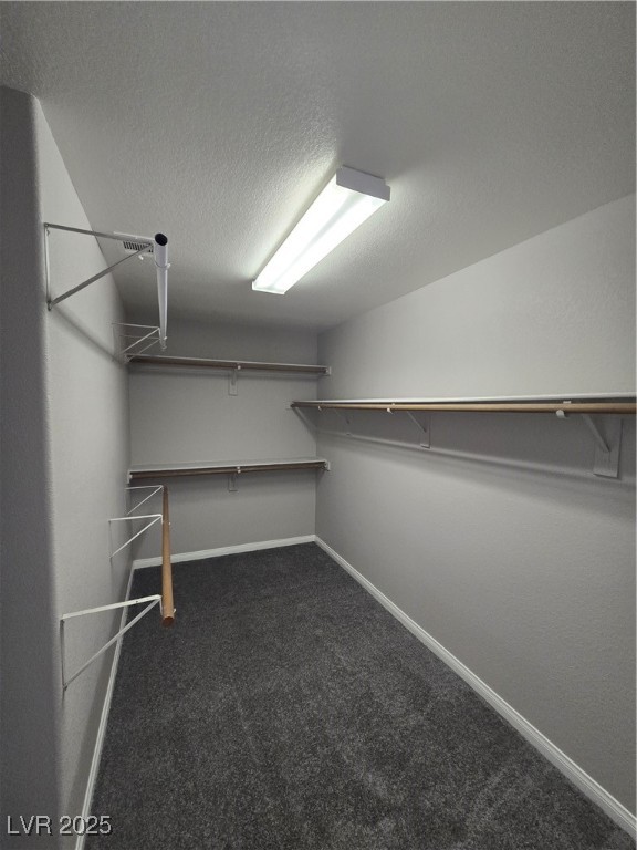 8350 Sterling Harbor Court Property Photo 20
