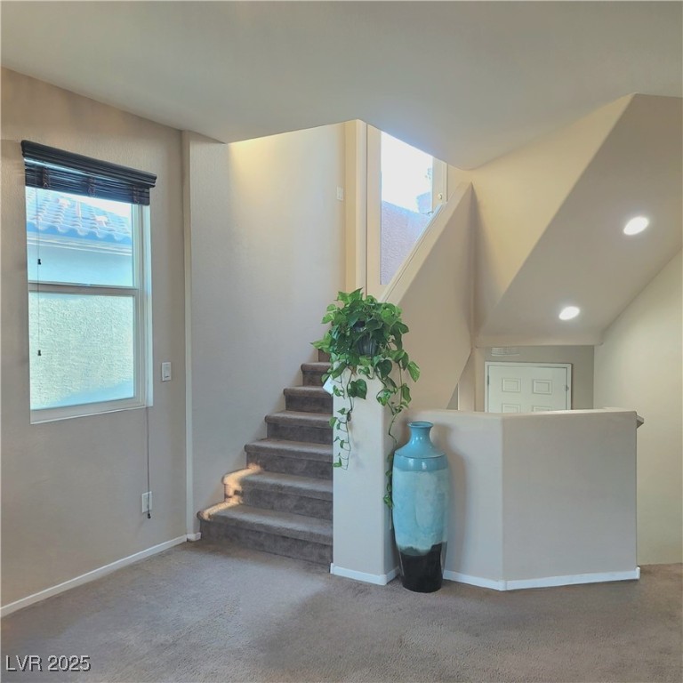 7914 Torreys Peak Street Property Photo 12