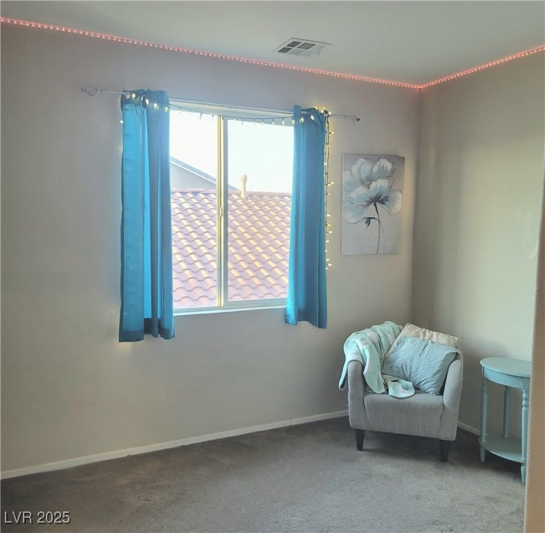 7914 Torreys Peak Street Property Photo 17