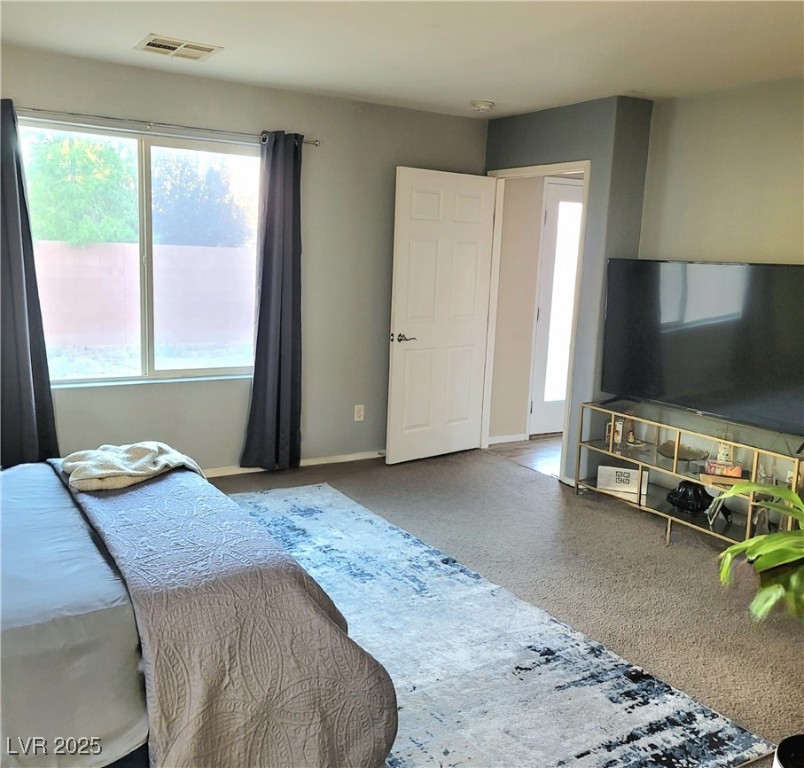 7914 Torreys Peak Street Property Photo 29