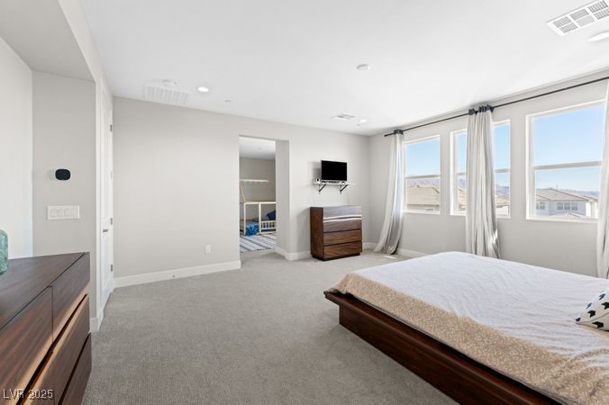 8990 Rolling Pietra Street Property Photo 28
