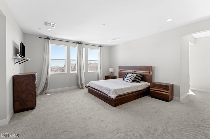 8990 Rolling Pietra Street Property Photo 30
