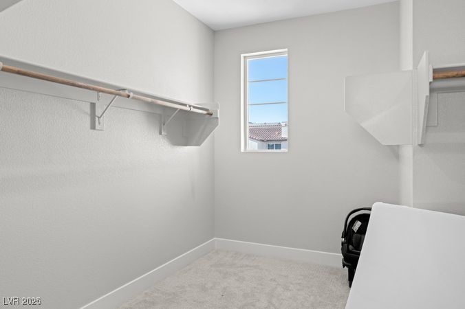 8990 Rolling Pietra Street Property Photo 39