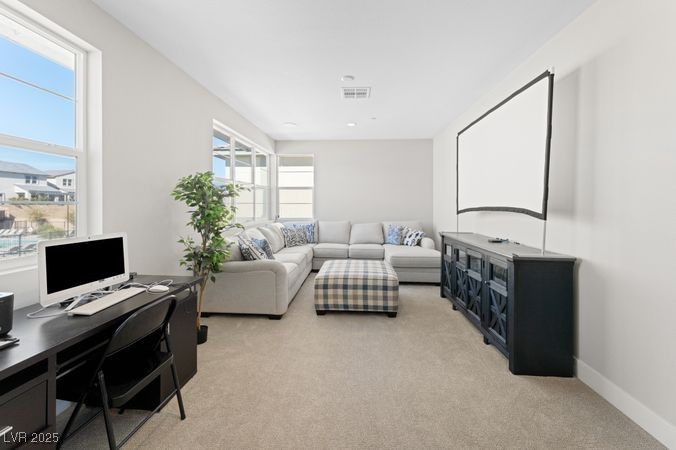 8990 Rolling Pietra Street Property Photo 40