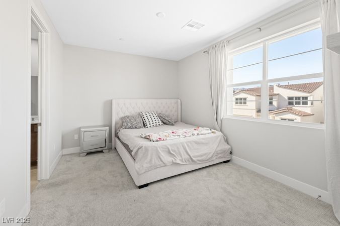 8990 Rolling Pietra Street Property Photo 46