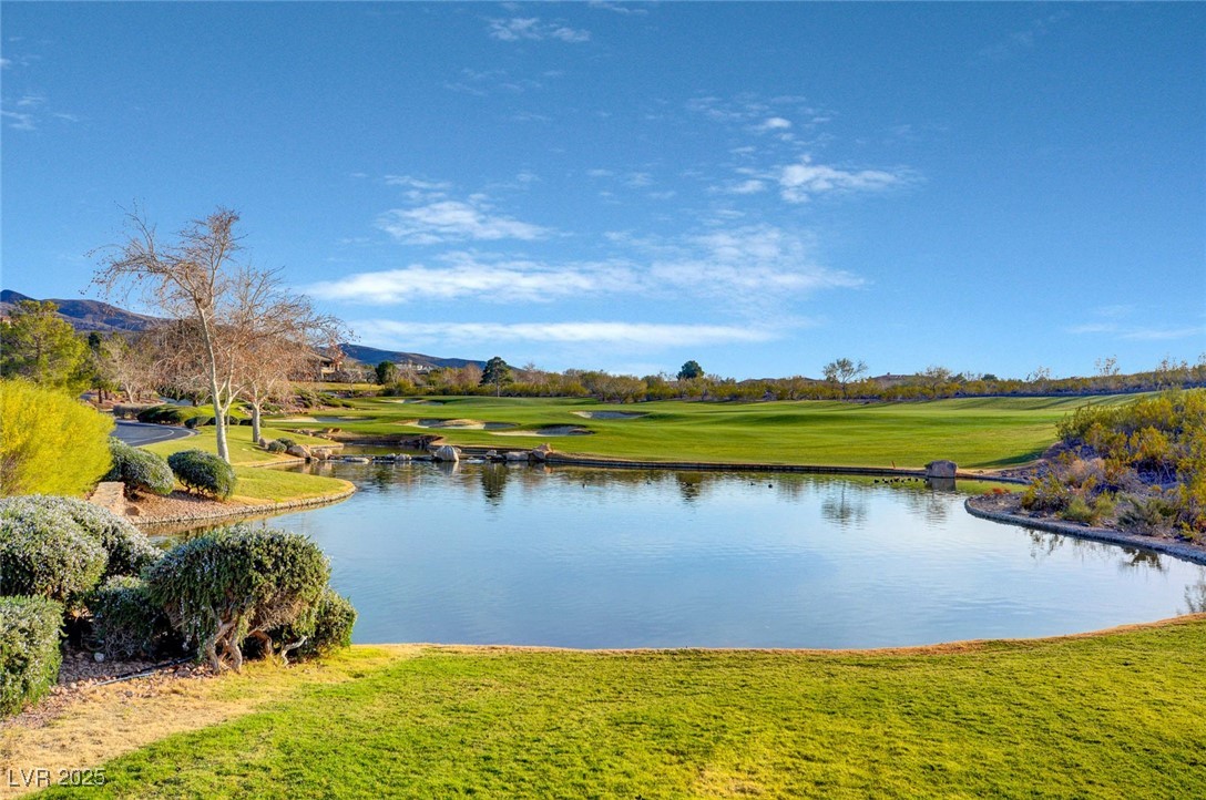 6 Holly Tree Court Property Photo 74