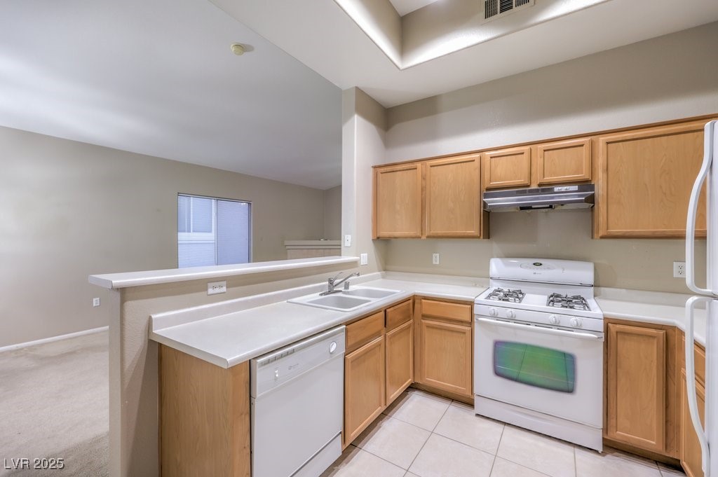 3351 Indian Shadow Street 204 Property Photo 10