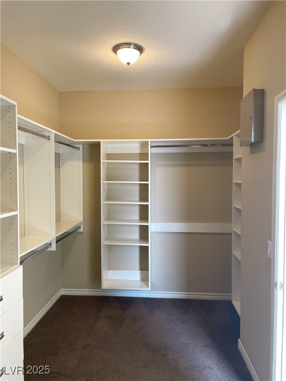 12243 Pacific Cruise Avenue Property Photo 20