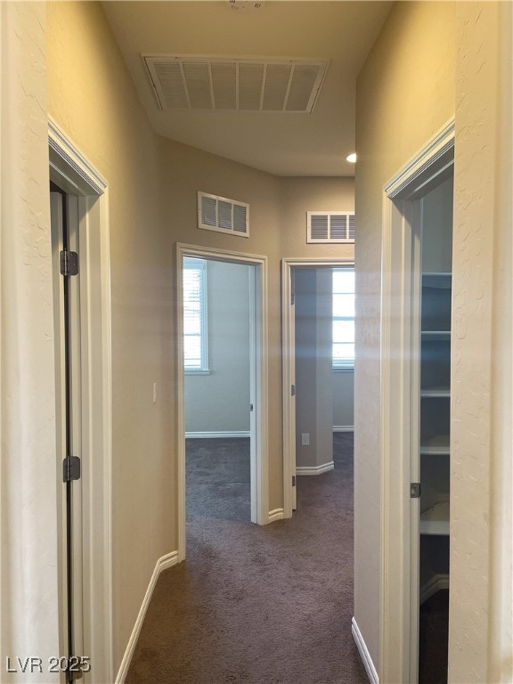 12243 Pacific Cruise Avenue Property Photo 25