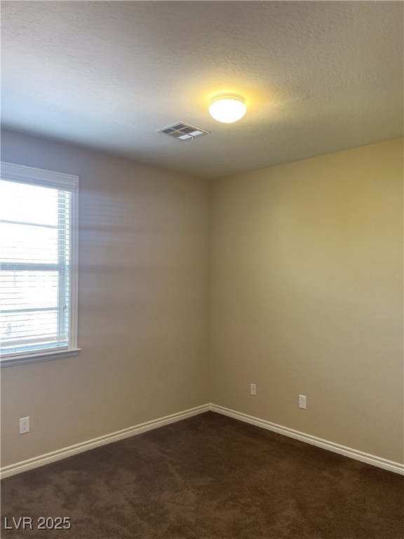 12243 Pacific Cruise Avenue Property Photo 30