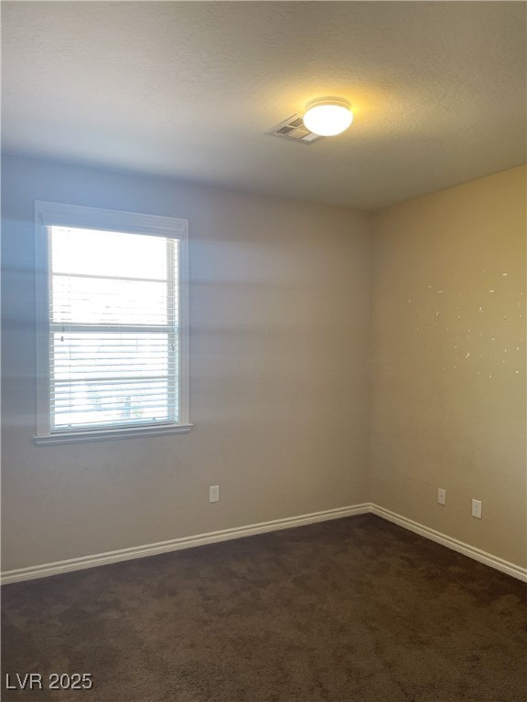 12243 Pacific Cruise Avenue Property Photo 31