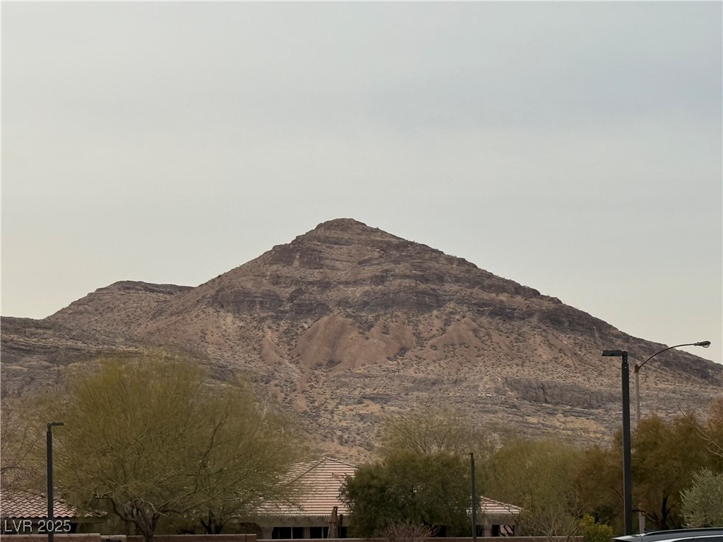 9161 Horizon Mist Avenue Property Photo 50
