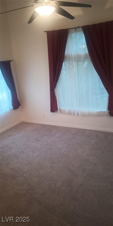 1529 Tillman Falls Avenue Property Photo 8