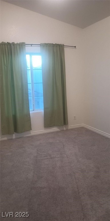 1529 Tillman Falls Avenue Property Photo 16