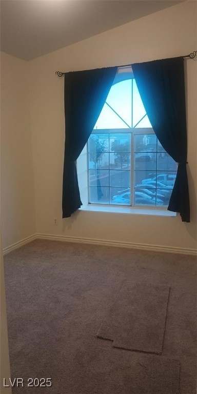 1529 Tillman Falls Avenue Property Photo 21