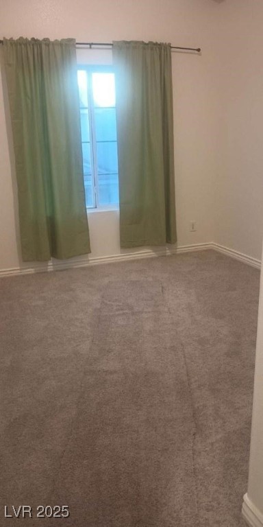 1529 Tillman Falls Avenue Property Photo 25