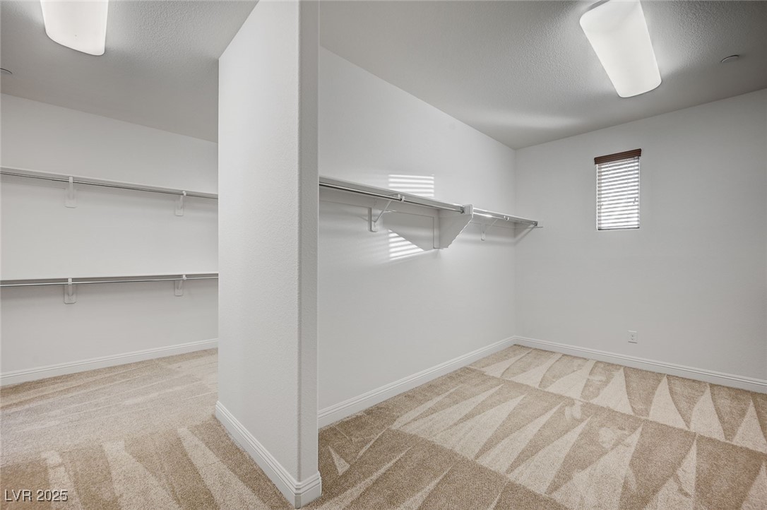4807 Enchanted View Street Property Photo 43