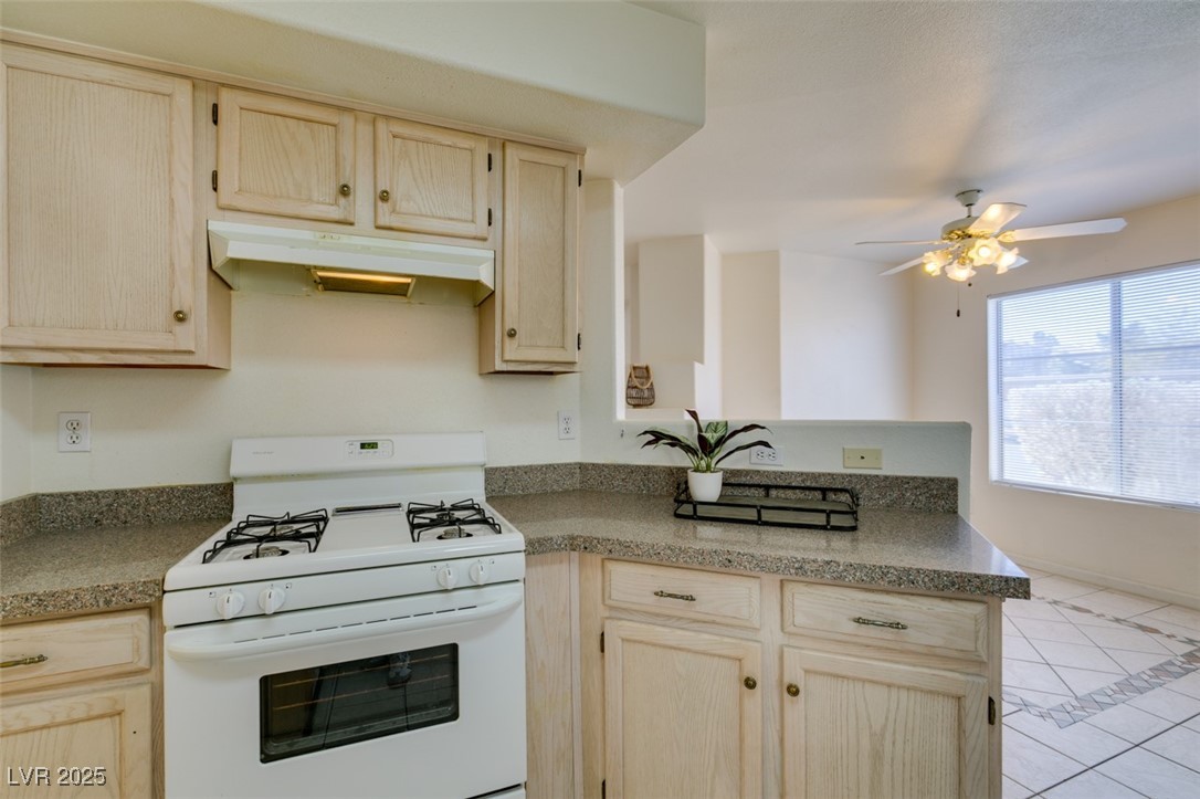 698 South Racetrack Road 711 Property Photo 33