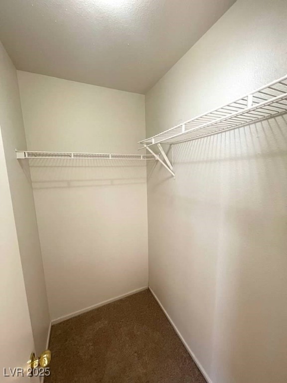 3254 Gold Run Street Property Photo 26