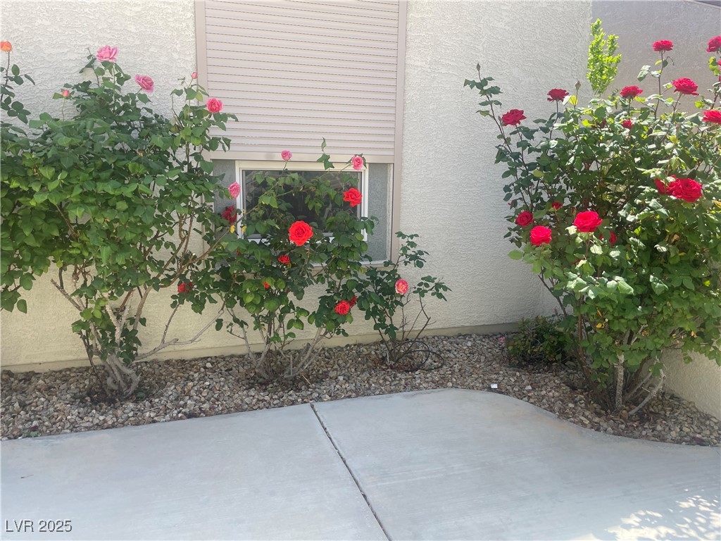 2429 Anderson Park Drive Property Photo 7