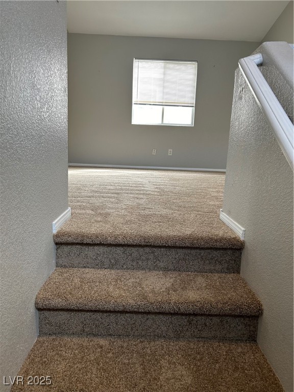 3025 Sunrise Bay Avenue Property Photo 15