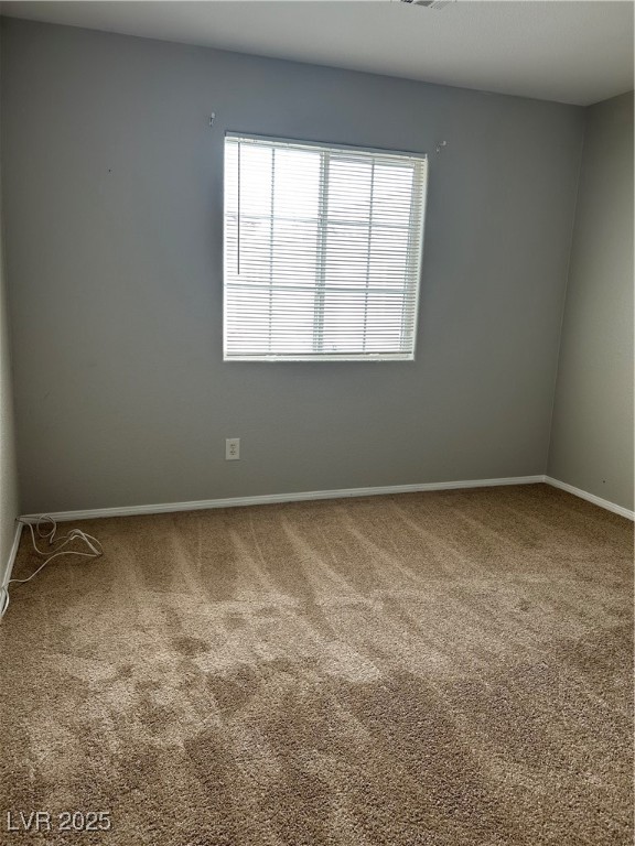 3025 Sunrise Bay Avenue Property Photo 19