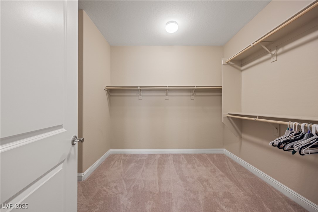 1359 Skylight Way Property Photo 46