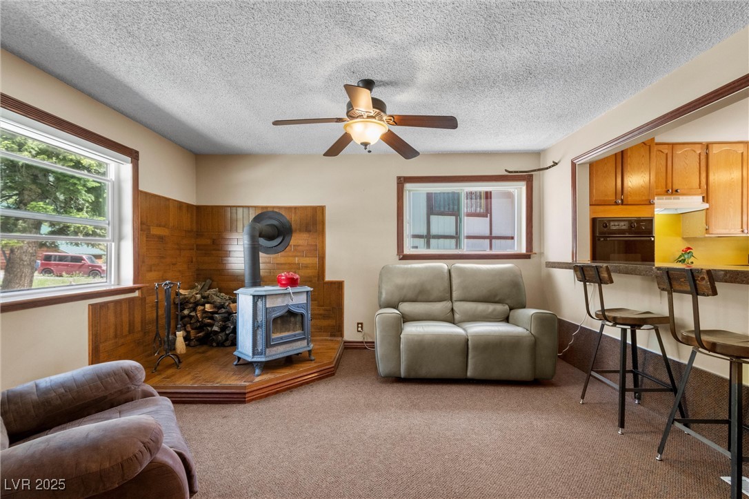 4765 Silver Tip Trail Property Photo 23