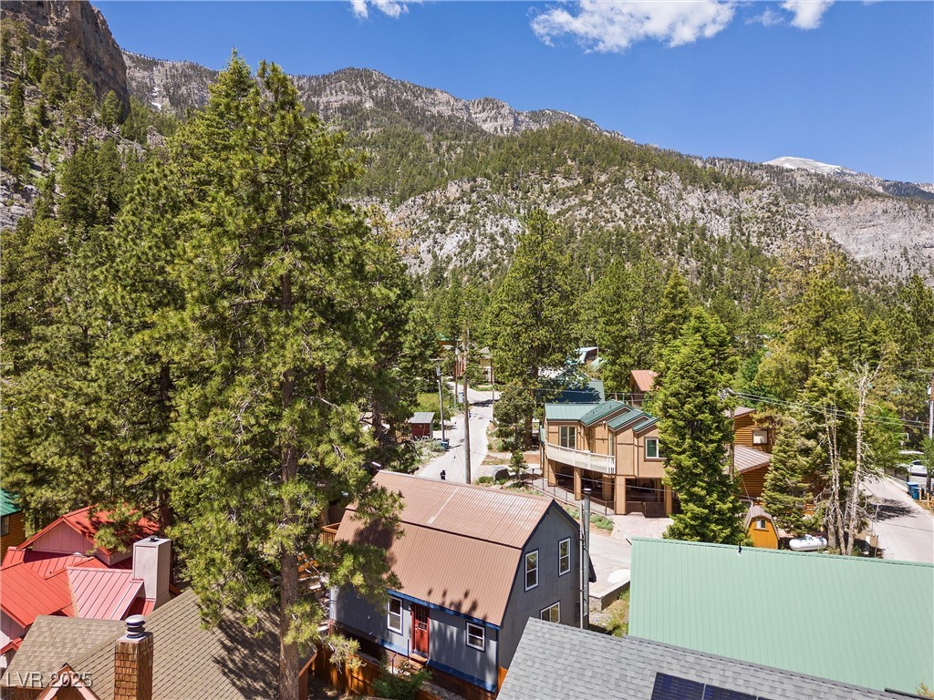 4765 Silver Tip Trail Property Photo 48