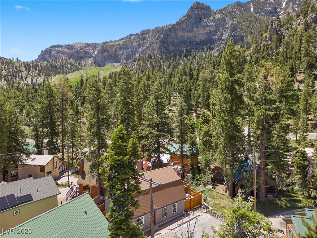4765 Silver Tip Trail Property Photo 49