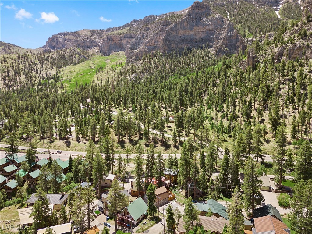 4765 Silver Tip Trail Property Photo 51