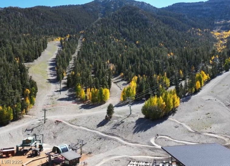 4765 Silver Tip Trail Property Photo 69